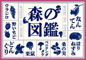 みみページ ダックボードZ木目 | カットシザーズ | 美容鋏(ハサミ)・理容鋏